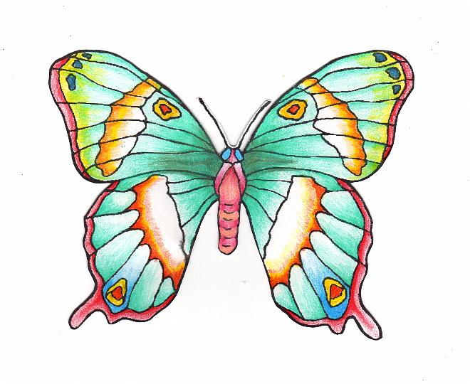 Coloring page butterfly that I colored.jpg